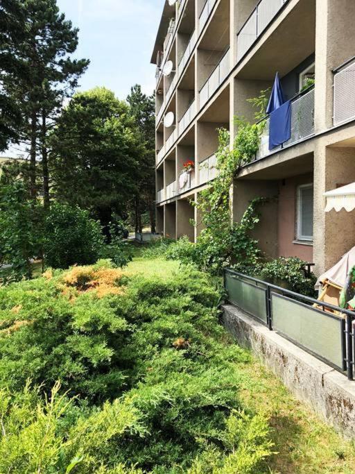 Mini Studio In Masaryk Quarter - Brno Apartment Ngoại thất bức ảnh