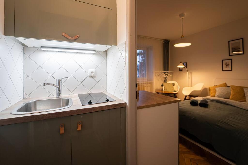 Mini Studio In Masaryk Quarter - Brno Apartment Ngoại thất bức ảnh